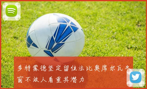 多特蒙德坚定留住法比奥席尔瓦冬窗不放人看重其潜力